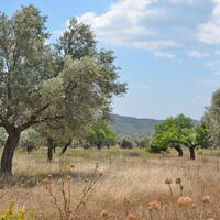 Island in Greece, Eretria, 390 sq.m.