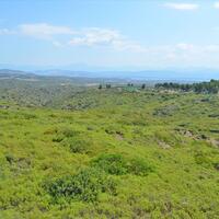 Island in Greece, 58000 sq.m.