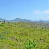Island in Greece, 58000 sq.m.