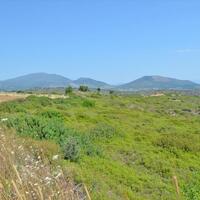 Island in Greece, 58000 sq.m.