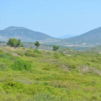 Island in Greece, 58000 sq.m.