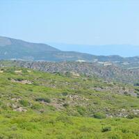 Island in Greece, 58000 sq.m.