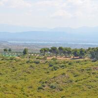 Island in Greece, 58000 sq.m.