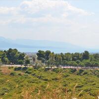 Island in Greece, 58000 sq.m.