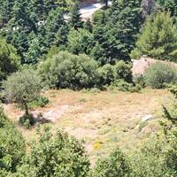 Island in Greece, Seta, 5500 sq.m.