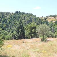 Island in Greece, Seta, 5500 sq.m.