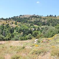 Island in Greece, Seta, 5500 sq.m.