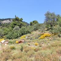 Island in Greece, Seta, 5500 sq.m.