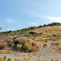 Island in Greece, Yiannitsi, 13000 sq.m.