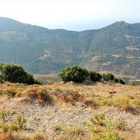 Island in Greece, Yiannitsi, 13000 sq.m.