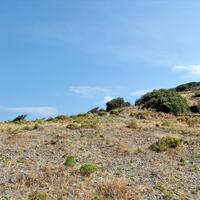 Island in Greece, Yiannitsi, 13000 sq.m.