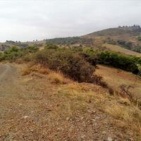 Island in Greece, Seta, 4886 sq.m.