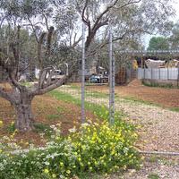 Island in Greece, 1200 sq.m.