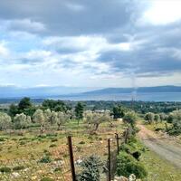 Island in Greece, Eretria, 6500 sq.m.