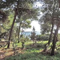 Island in Greece, Eretria, 4000 sq.m.
