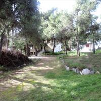 Island in Greece, Eretria, 4000 sq.m.