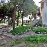 Island in Greece, Eretria, 4000 sq.m.