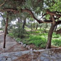 Island in Greece, Eretria, 4000 sq.m.