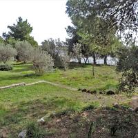 Island in Greece, Eretria, 4000 sq.m.