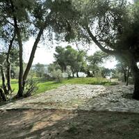 Island in Greece, Eretria, 4000 sq.m.