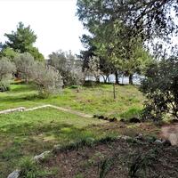 Island in Greece, Eretria, 4000 sq.m.