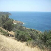 Остров в Греции, 116000 кв.м.