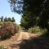 Апарт-отель в Греции, Ионические острова, Закинтос, 8000 кв.м.
