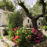 Other in Greece, Ionian Islands, Zakynthos, 350 sq.m.