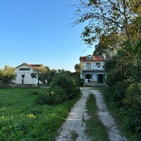 Other in Greece, Ionian Islands, Zakynthos, 350 sq.m.