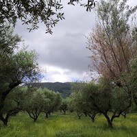 Other in Greece, Ionian Islands, Zakynthos, 350 sq.m.