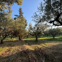Other in Greece, Ionian Islands, Zakynthos, 350 sq.m.