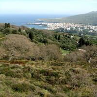 Island in Greece, 11000 sq.m.