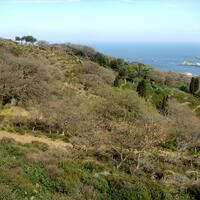 Island in Greece, 11000 sq.m.