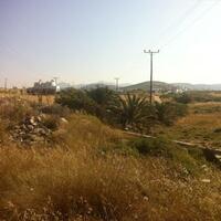 Island in Greece, 22000 sq.m.