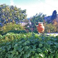 Other in Greece, 150 sq.m.