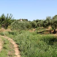 Island in Greece, 4042 sq.m.