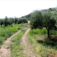 Island in Greece, 4042 sq.m.