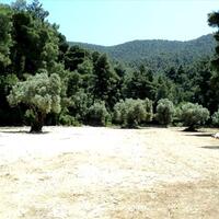 Island in Greece, 12053 sq.m.