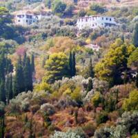 Island in Greece, 6400 sq.m.