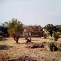 Island in Greece, 3500 sq.m.