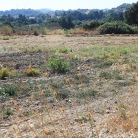 Island in Greece, Rodos, 35260 sq.m.
