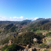 Island in Greece, Rodos, 15000 sq.m.