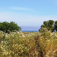 Island in Greece, Rodos, 18755 sq.m.