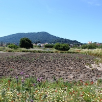 Island in Greece, Rodos, 18755 sq.m.
