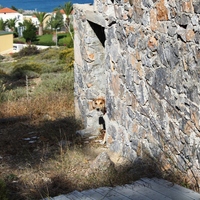 Island in Greece, Rodos, 8500 sq.m.