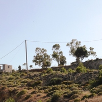 Island in Greece, Rodos, 8500 sq.m.