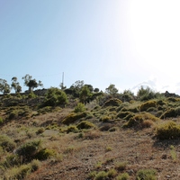 Island in Greece, Rodos, 8500 sq.m.