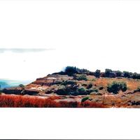 Island in Greece, 7774 sq.m.