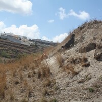 Island in Greece, 29000 sq.m.