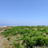 Island in Greece, 29000 sq.m.